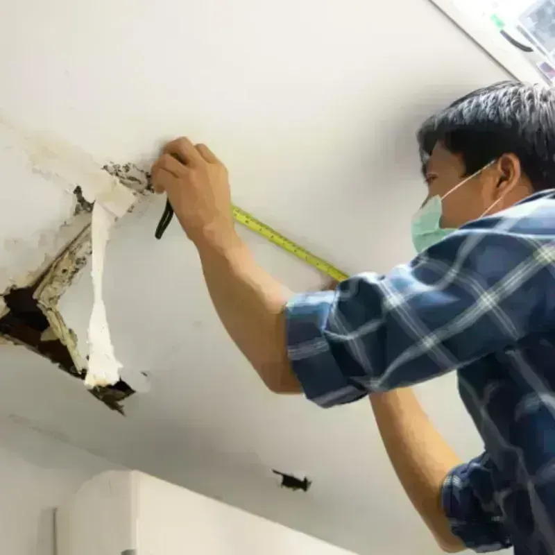 Ceiling And Wall Water Damage in Knik-Fairview, AK