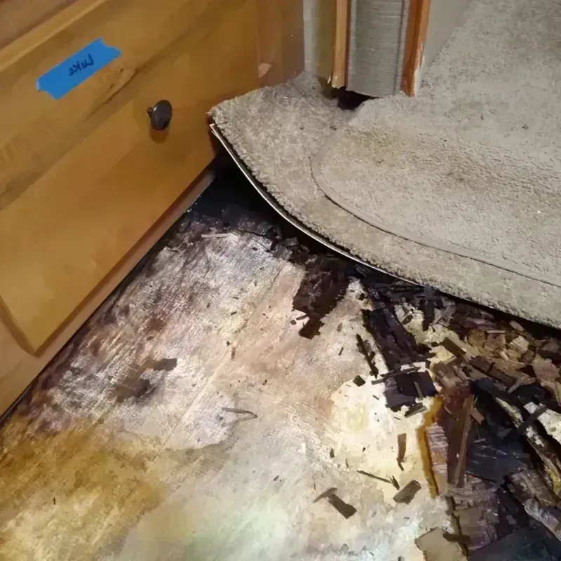 Wood Floor Water Damage in Knik-Fairview, AK